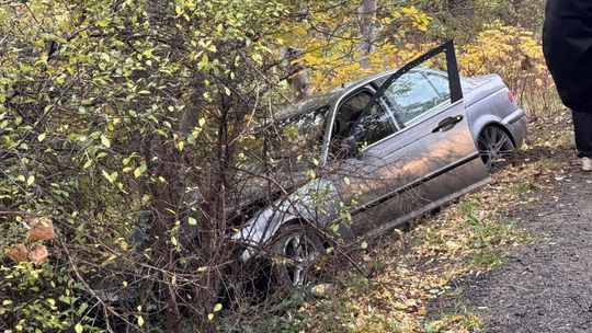 19-latek wjechał BMW w zarośla. 14-latek trafił do szpitala