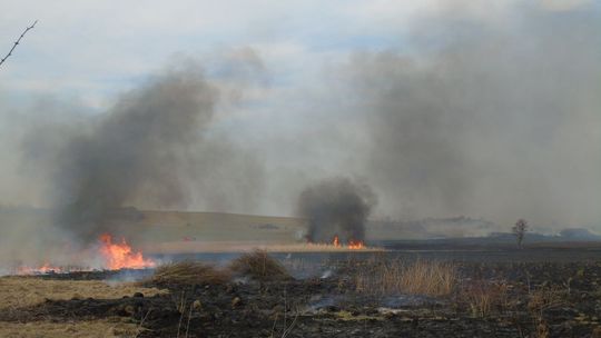 21.03.2015 - pożar traw w gminie Chorkówka - ZDJĘCIA