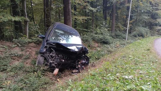 23-latek wjechał w drzewo. W ciężkim stanie trafił do szpitala. Policja szuka świadków