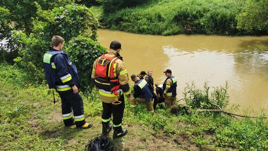 Akcja poszukiwawcza na Wisłoku w powiecie krośnieńskim. Zaginął 58-letni mężczyzna