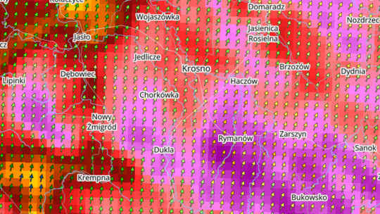 ALERT METEO - silne porywy wiatru w czwartek