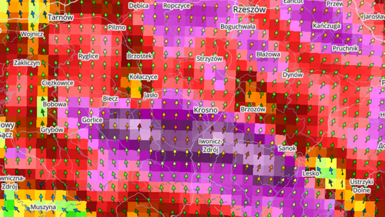 ALERT METEO: silny wiatr w poniedziałek