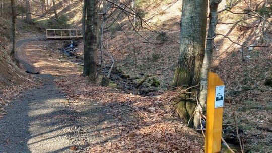 Atrakcja dla miłośników turystyki rowerowej w Bieszczadach - Singletrack pod Honem