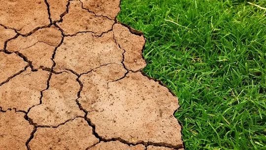 Bądźmy gotowi na zmiany. Krosno przygotowuje plan adaptacji do zmian klimatu