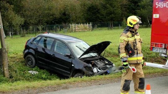 34-latka nie chciała wjechać w psa. Jej auto dachowało