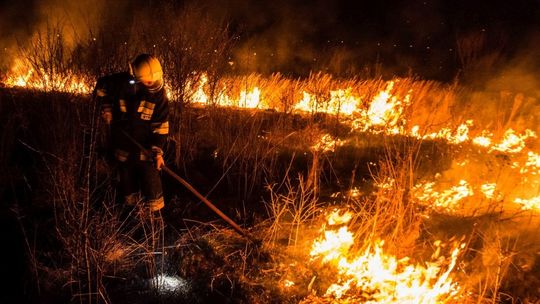 Bezmyślne wypalanie traw i pozostałości roślinnych