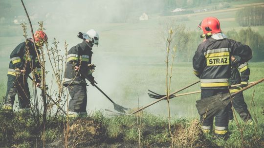 Bezmyślne wypalanie traw. W Rogach z pożarem walczyło kilka zastępów straży pożarnej