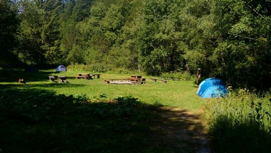 Bieszczadzki Park Narodowy zaprasza turystów na nowe pole biwakowe