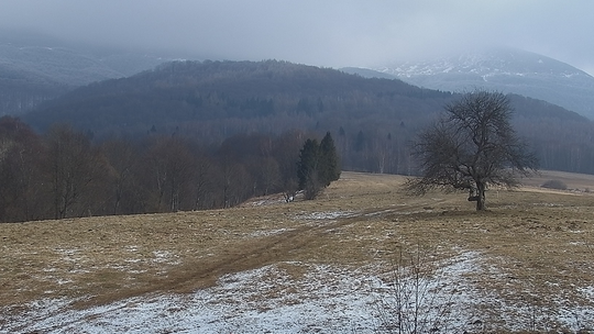 Bieszczadzkie szlaki turystyczne mogą być miejscami mokre i śliskie