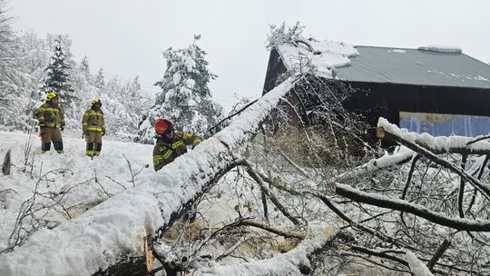 Blisko 3 tysiące interwencji podkarpackich strażaków [ZDJĘCIA]