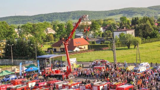 Dla Oliwki uzbierano ponad 44 tysiące złotych! Akcja ratowników przechodzi do historii