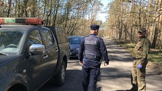 Do lasu wrócili złodzieje. Kradną drewno opałowe, bo nie ma węgla