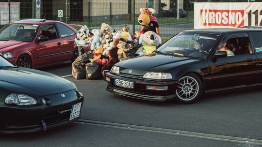 Dołącz do zbiórki dla zwierzaków podczas Zlotu Fanów Japońskiej Motoryzacji w Krośnie