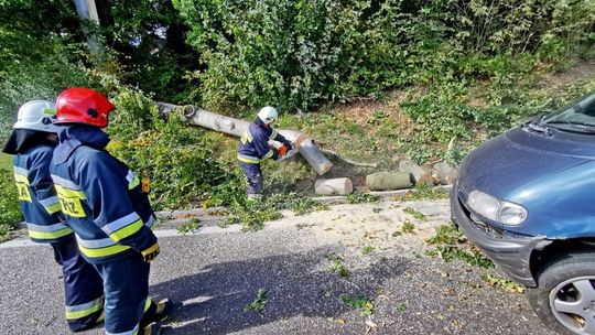 Drzewo spadło tuż przed jadącym samochodem. Małżeństwo miało wiele szczęścia