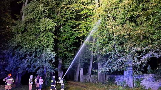 Dukla. Pożar parkowego drzewa od uderzenia piorunem