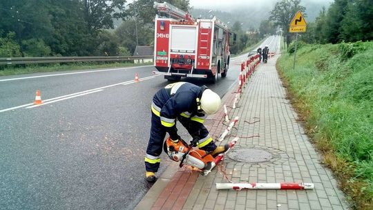 DUKLA: Stracił panowanie nad pojazdem. Wjechał w słupki