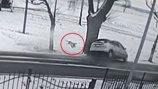 Dziecko wypadło z samochodu. Policja pokazuje drastyczne nagranie, by nauczyć rodziców