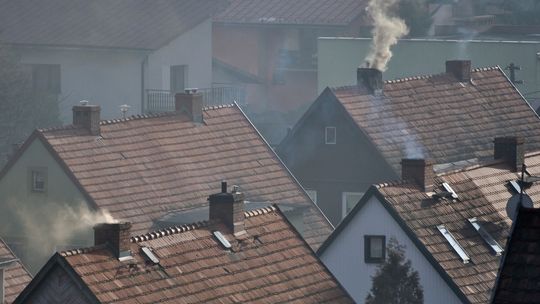 Dzięki aplikacji mObywatel można zgłaszać naruszenie przepisów o ochronie środowiska