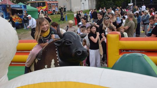 Dzień pełen radości i dobrej zabawy. Piknik Fundacji Wielkie Serce dla Dzieci [ZDJĘCIA]