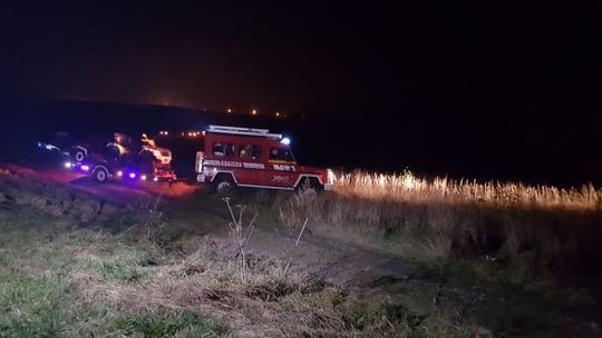 FALISZÓWKA: Tragedia w lesie. Traktor przygniótł mężczyznę