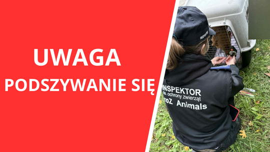 Fałszywy inspektor podszywał się pod OTOZ Animals Krosno. Organizacja apeluje o czujność