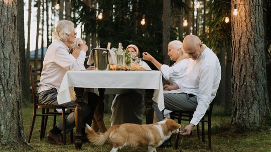Firmowy piknik. Jak go zorganizować?