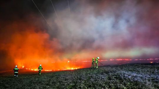 Gigantyczna kara za wypalanie traw. Mocno uderzy po kieszeni