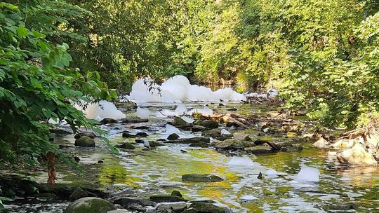 Giną ryby w Lubatówce. To skutek akcji gaśniczej Merkury Market?