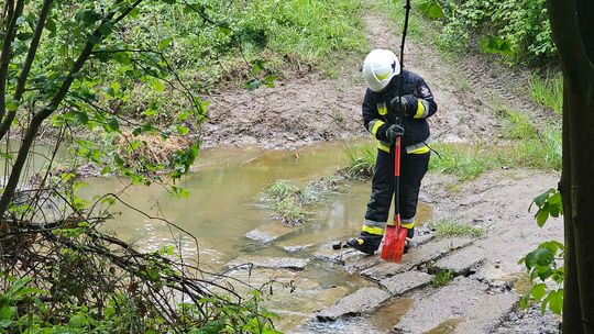 Głębokie. Strażacy ponownie zaalarmowani do ropy wpływającej do cieku wodnego
