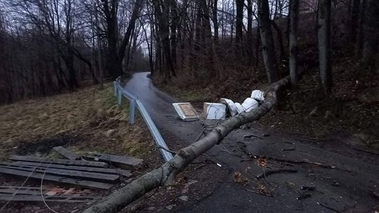 ? Głowienka. Drzewo spadło na kapliczkę i linię energetyczną