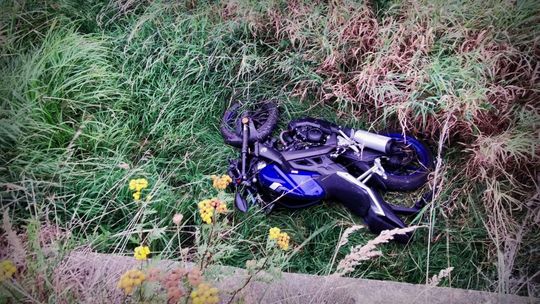 ? Głowienka. Ranny motorowerzysta po zderzeniu z sarną
