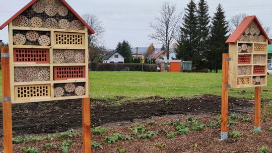 Gmina Chorkówka urządziła domki dla owadów, które mają pomóc w zapylaniu roślin