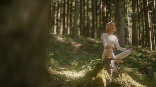 Gmina Rymanów w nowym filmie promocyjnym [WIDEO]