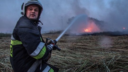 IWONICZ: Strażacy wezwani do pożaru pola kukurydzy