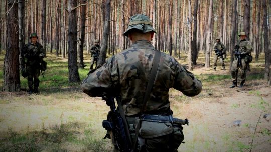 Jakie osoby mogą być powołane w pierwszej kolejności?