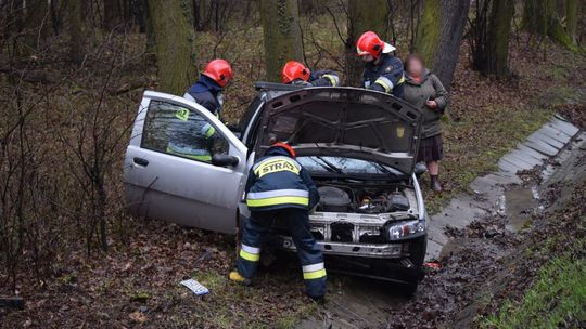 Jaszczew: Sarna wyskoczyła przed samochód