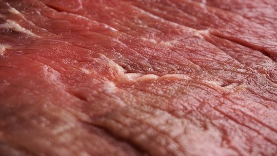 JASZCZEW: Ukradziono martwą sarnę, uwaga na skażone mięso