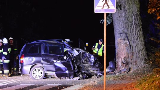 JEDLICZE: Opel uderzył w drzewo. Kierowca nie żyje