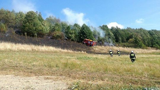 Jesienna plaga pożarów traw w naszym powiecie