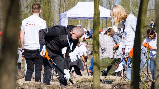 KGHM działa ze szczególną dbałością o ochronę środowiska