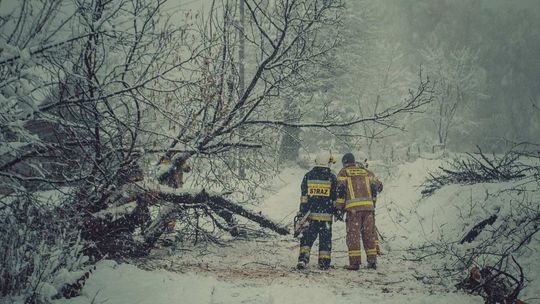 Kiedy spadnie pierwszy śnieg? Według prognoz jeszcze nie teraz