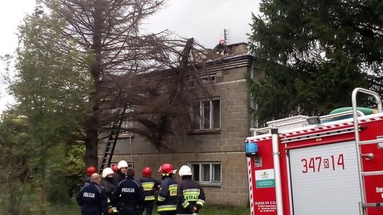 Kilkadziesiąt akcji związanych z silnym wiatrem