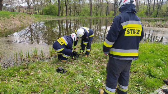 Klimkówka. Pies tonął w stawie