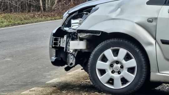 Kolejne dzikie zwierzę spowodowało kolizję