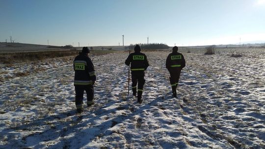 Kolejne poszukiwania zaginionego Kazimierza Pernala