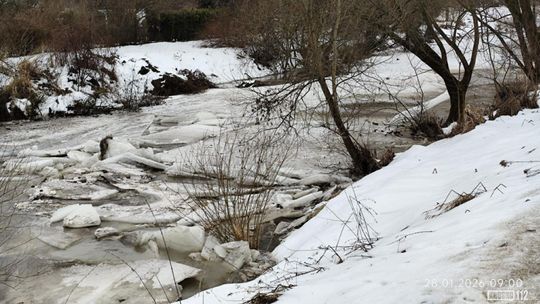 Kra na Wisłoku i Jasiołce. Służby monitorują sytuację, zagrożenia brak [ZDJĘCIA]