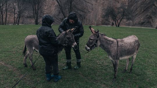 Kręcony na Podkarpaciu film "IO" z nominacją do Oscara