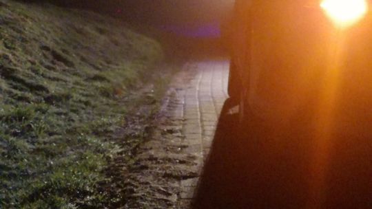 KROŚCIENKO WYŻNE: 18-latka straciła panowanie nad pojazdem i zjechała z drogi