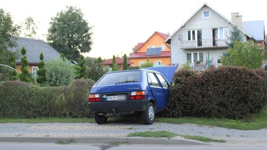 Krościenko Wyżne: Wjechał w żywopłot, bo nie chciał potrącić psa