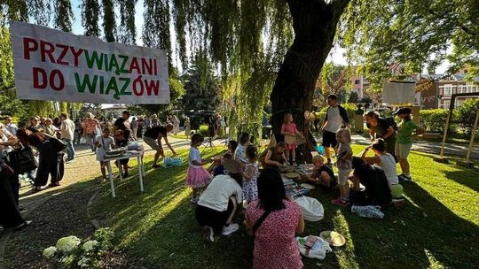 Krośnianie bronią drzew: społeczne poruszenie na skwerze Jana Zycha